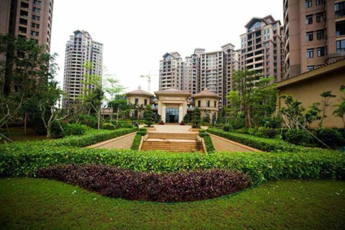 如今想要拥抱你是什么歌