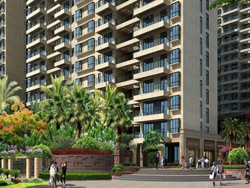 黑香菇炒油菜的做法 黑香菇炒油菜的做法